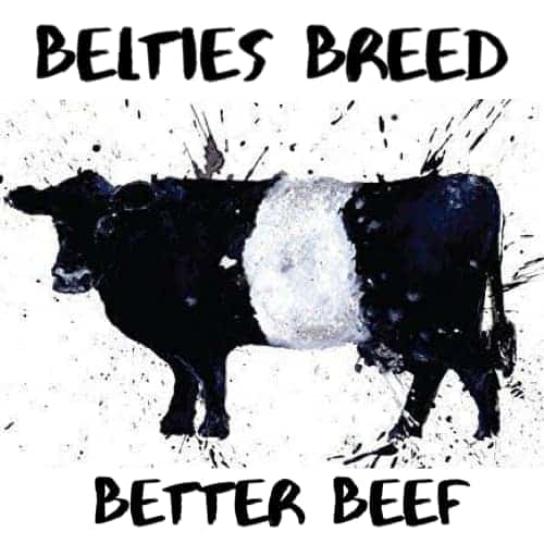 Belties Breed Better Beef